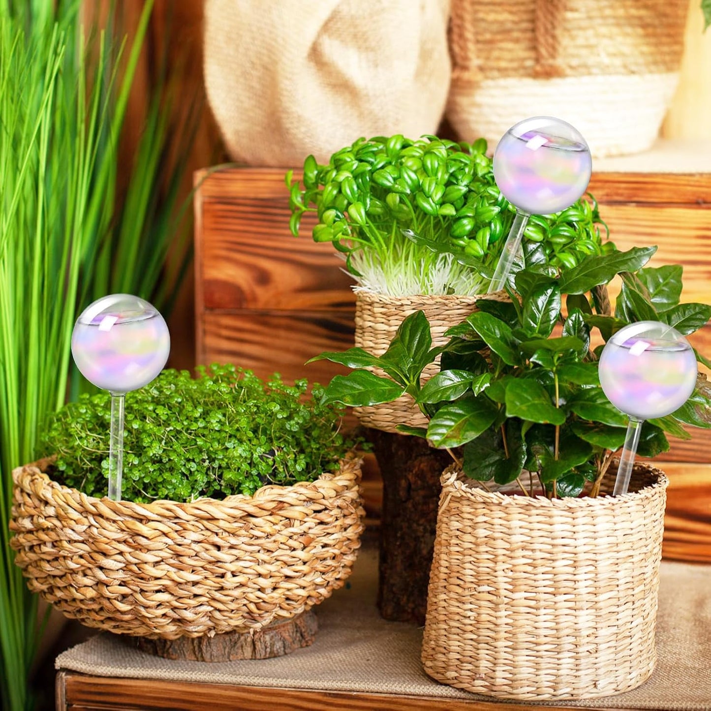 2 Pcs Iridescent Self Watering Globes,Rainbow Plant Watering Insert,Automatic Plant Waterer Glass Bulbs,Clear Glass Plant Water Globes for Indoor and Outdoor
