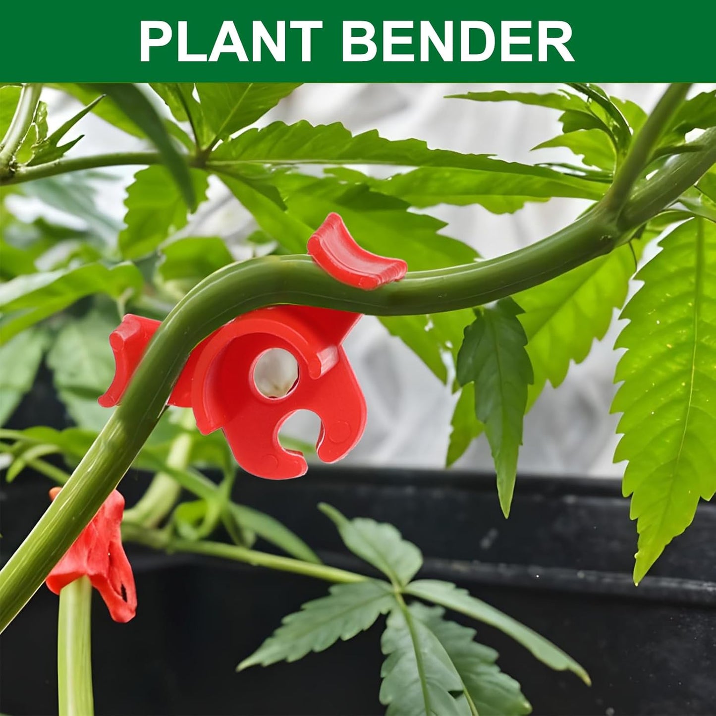 60Pcs Plant Training Clips, Reusable 90 Degrees Bud Trainer Lst Clips for Low Stress Training Plant Stem Support Bud Bender for Tomatoes Cucumbers Climbing Plants in Indoor Outdoor Gardens (Red Green)