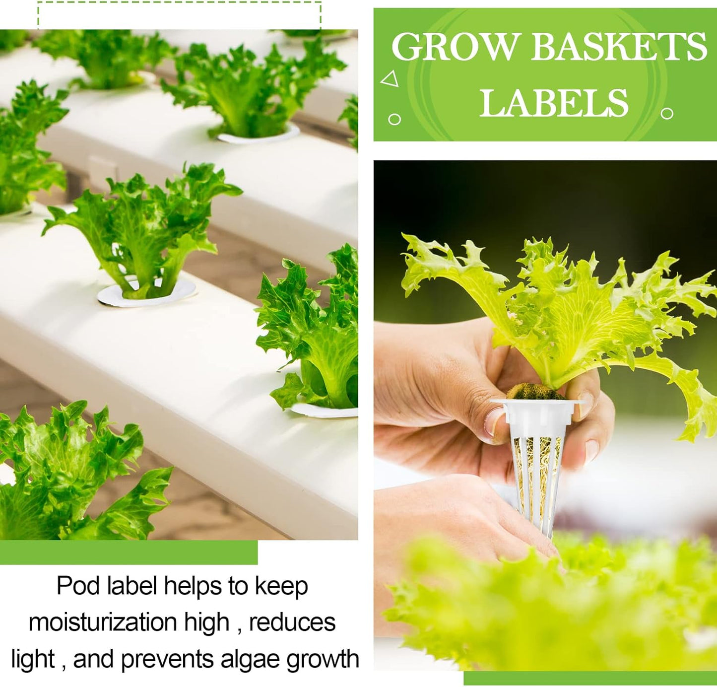 Cunhill 100 Pcs Hydroponic Growing Kit Include 50 Pcs Plant Replacement Basket Containers and 50 Pcs Seed Pot Label Compatible with Hydroponic Growing System(0.5 Inch,White)