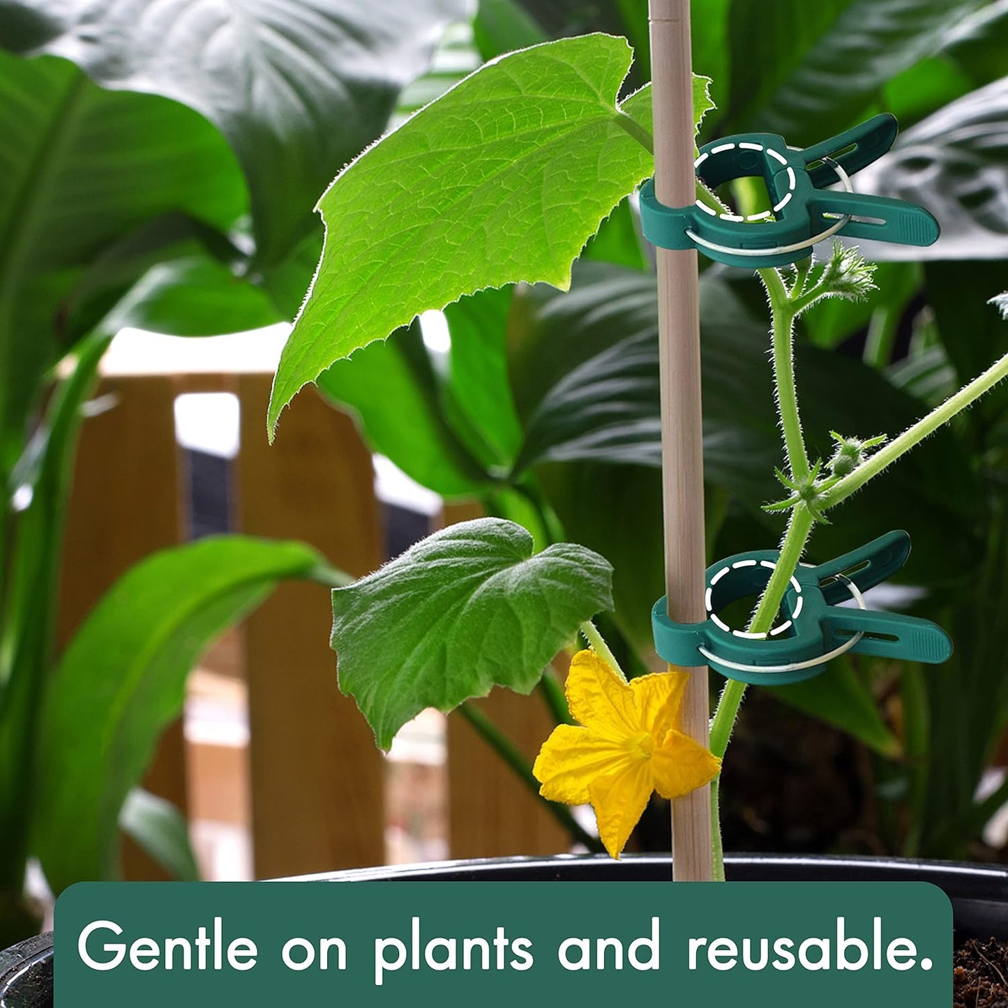 48 Pcs Garden Plant Clips, Plant Support Clips for Securing Stems, Flowers or Climbing Vines to Tomato Cages, Trellis