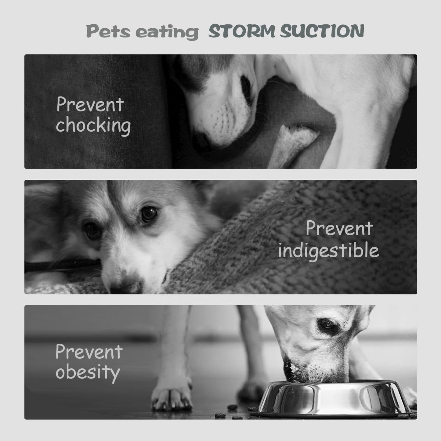 Slow Feeder Dog Bowl for Medium & Small Pets, Anti Choking Puzzle Dog Food Bowl with Non-Slip Base, Interactive Pet Slow Eating, Silicone Cat Feeder for Puppies & Cats