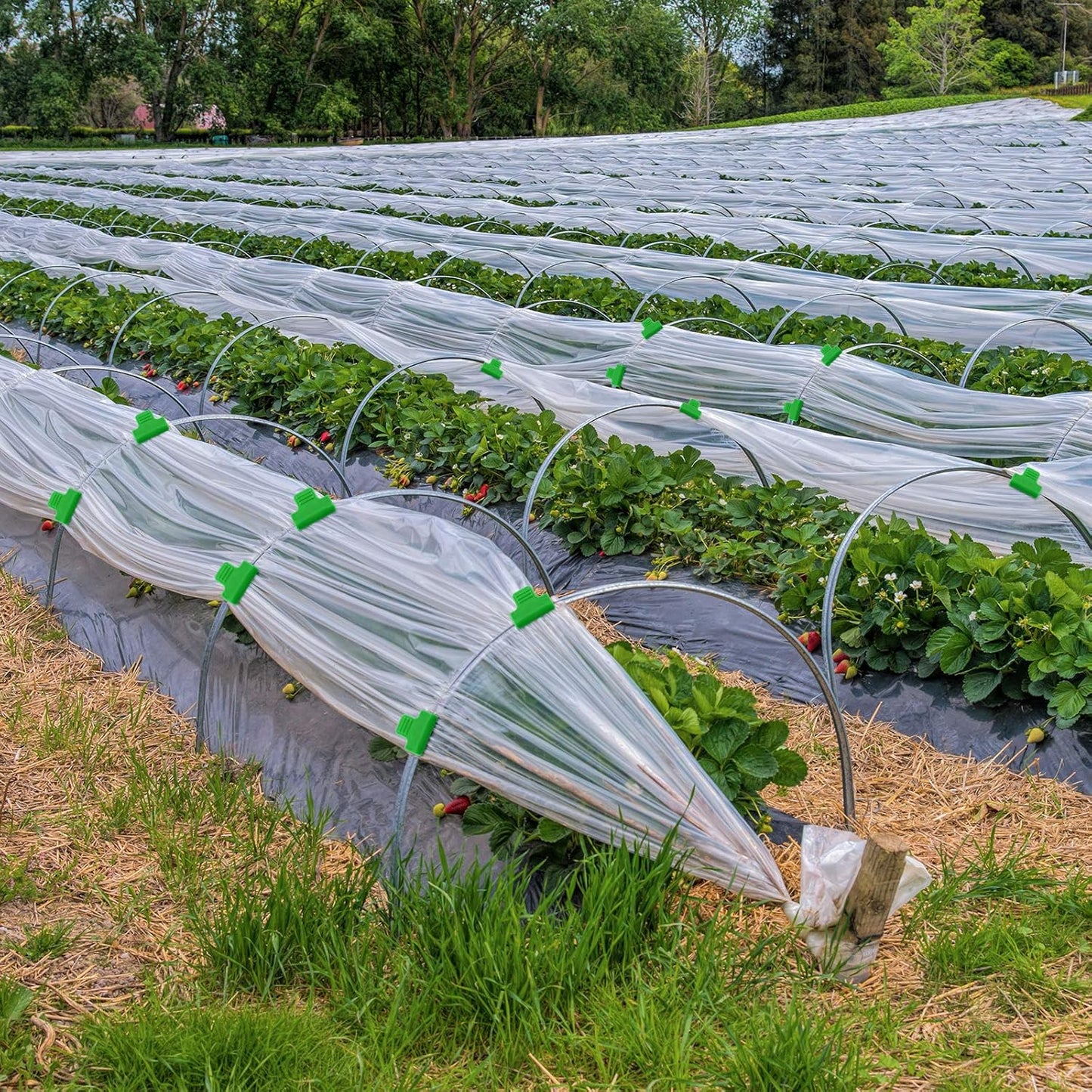 40 Pieces Greenhouse Clamps Film Row Cover Netting Tunnel Hoop Clip Frame Shading Net Rod Clip Greenhouse Film Clamps for Season Plant Extension Support (40 pieces,10 mm)