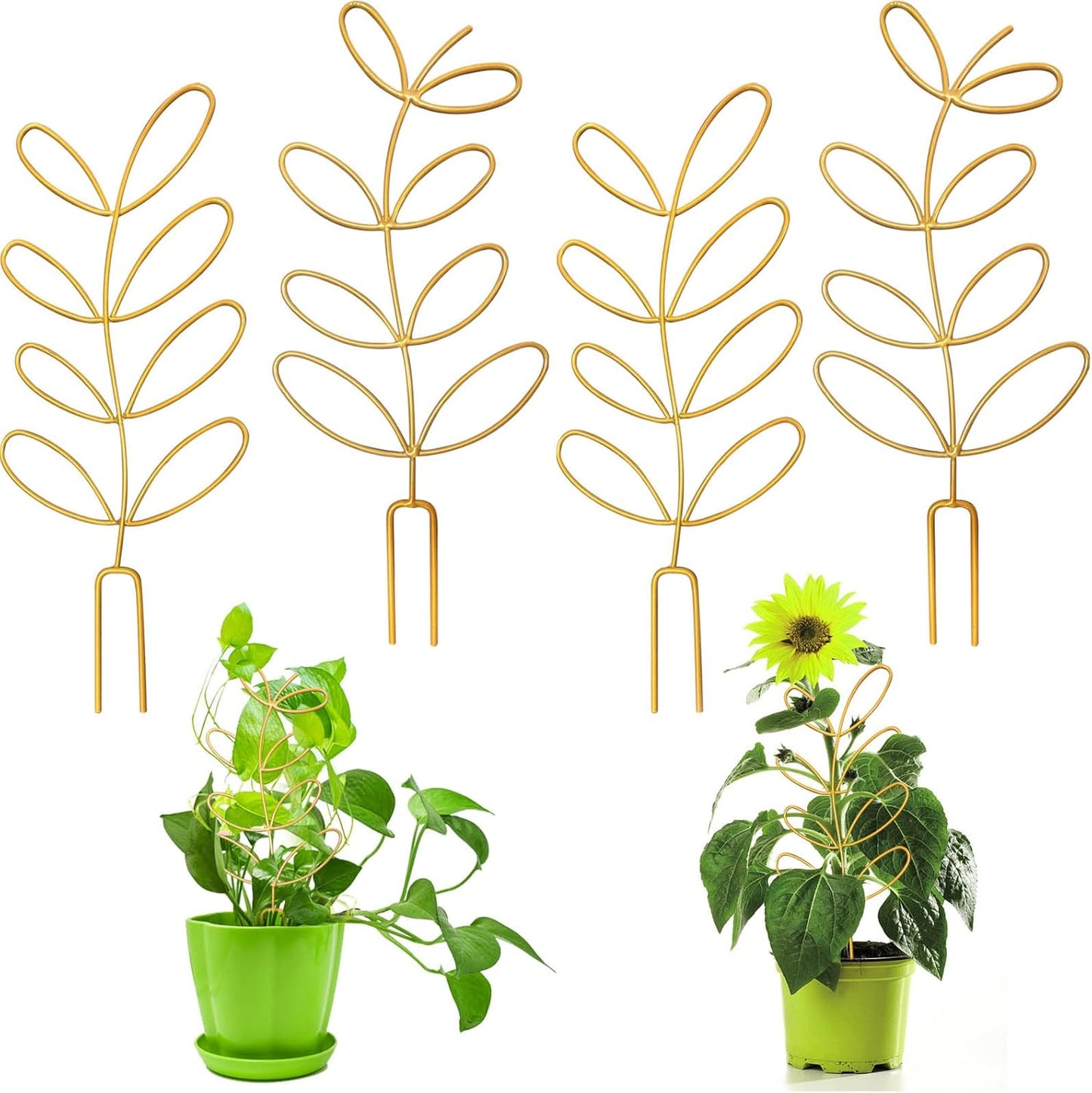 4 Pcs Small Metal Trellis for Potted Plants, Indoor Plants Trellis for Climbing, Mini Plant Trellis Support Stake House Plant Trellis for Garden Potted, Hoya, Pothos, Flower, Monstera (Gold)
