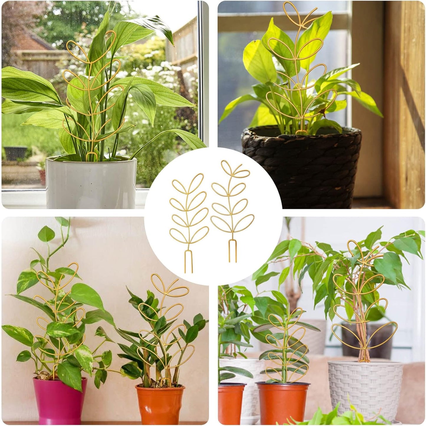 4 Pcs Small Metal Trellis for Potted Plants, Indoor Plants Trellis for Climbing, Mini Plant Trellis Support Stake House Plant Trellis for Garden Potted, Hoya, Pothos, Flower, Monstera (Gold)