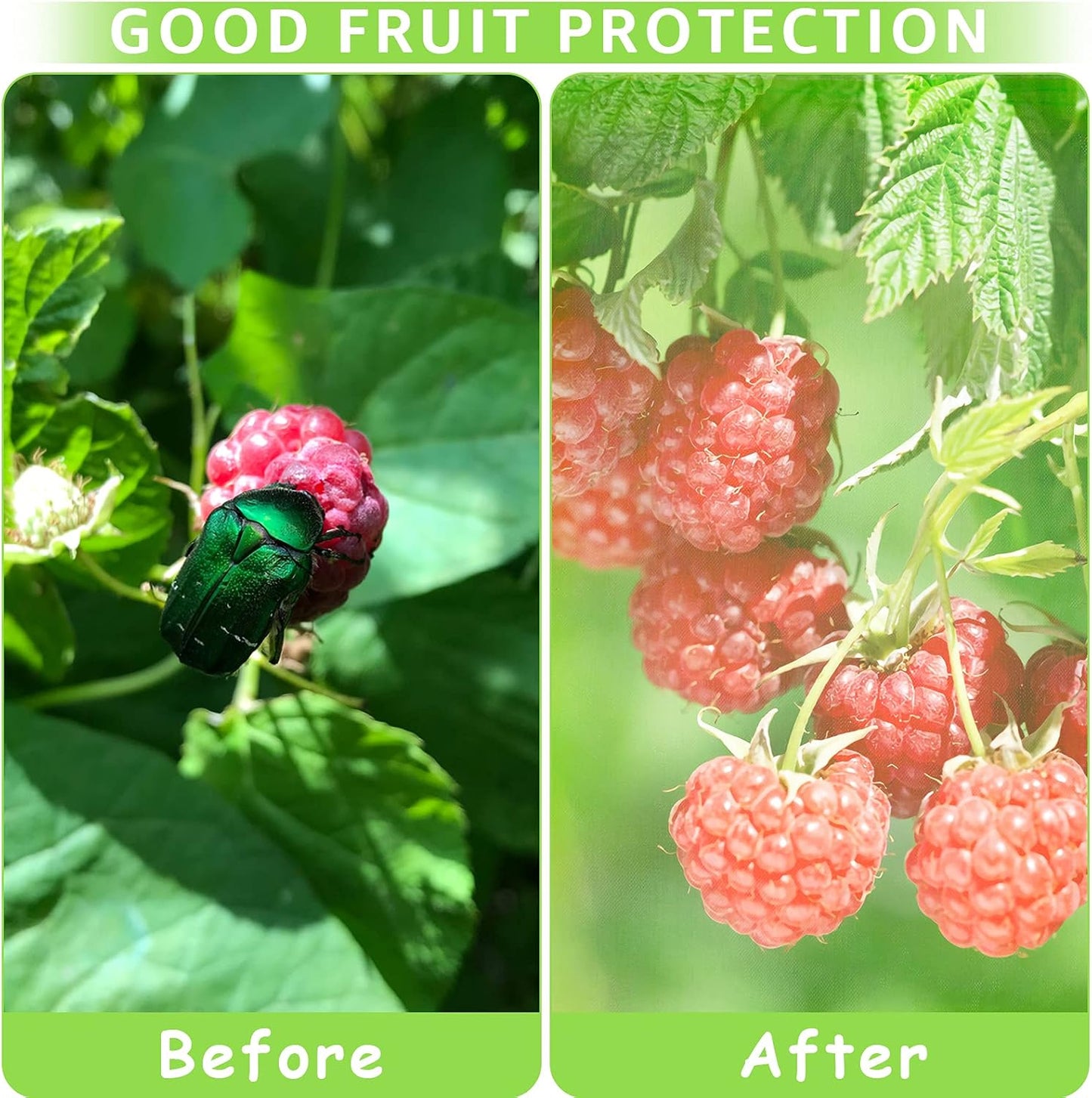50 Pcs Fruit Protection Bags,8''×12''Fruit Netting Bags for Fruit Trees Fruit Cover Mesh Bag with Drawstring Netting Barrier Bags for Plant Fruit Flower