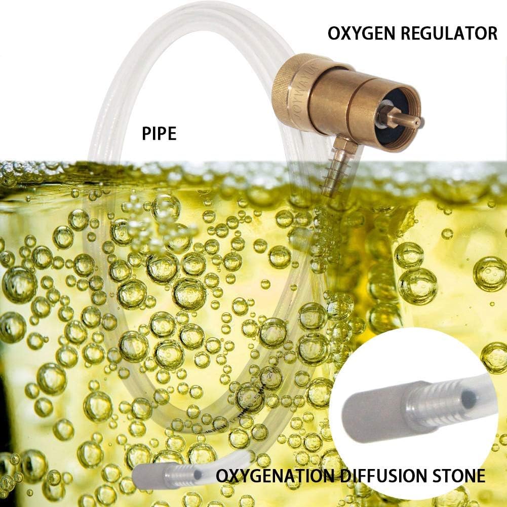 Aeration Stone 0.5 Micron Stainless Steel Oxygenation Diffusion Stone 1/4" Barb for Home brewing Wine Beer Soda + 20 Inch Silicone Hose (Pack of 2)