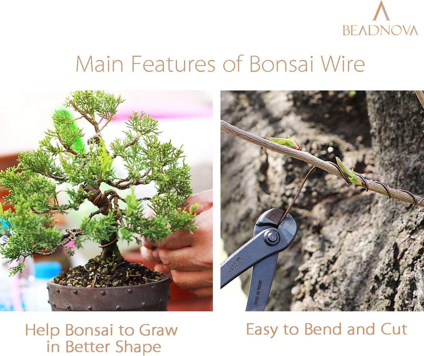 Plant Training Wire 98 Feet Copper Bonsai Tree Aluminium Plant Wire for Training Indoor and Outdoor (Copper, 2mm, 30m)