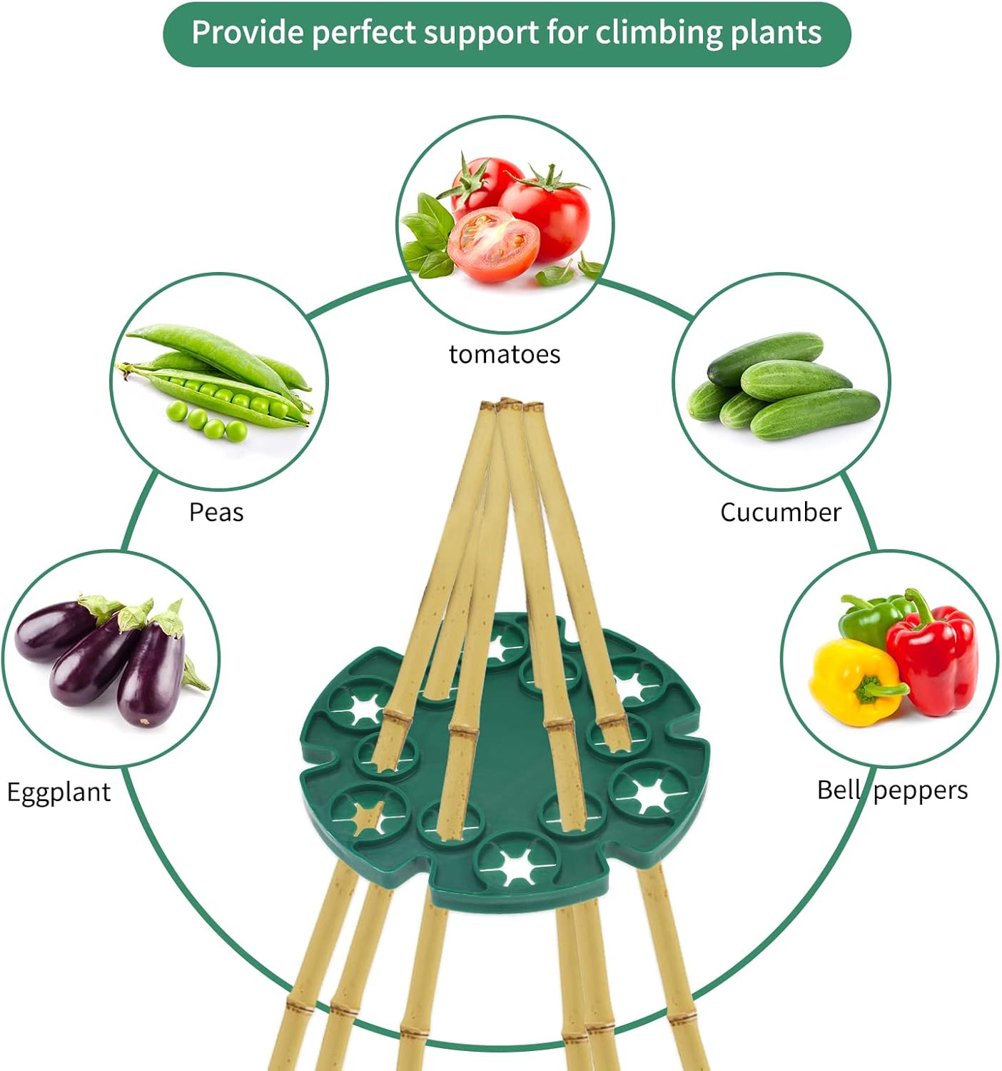 6 Pcs Bamboo Cane Holder Plastic Plant Cane Support Caps Holders for Climbing Plants Sweet Peas Beans Green
