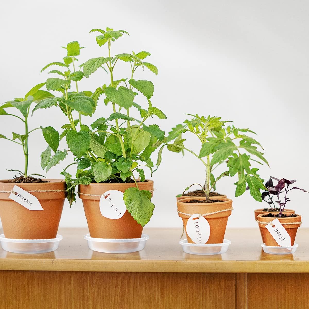 9 Pack Clear Plastic Plant Saucer, Durable Plant Trays Flower Plant Pot Saucer Plant Container Accessories for Indoors & Outdoors, Stop Messes & Stains in Your Garden (6"+8"+10")