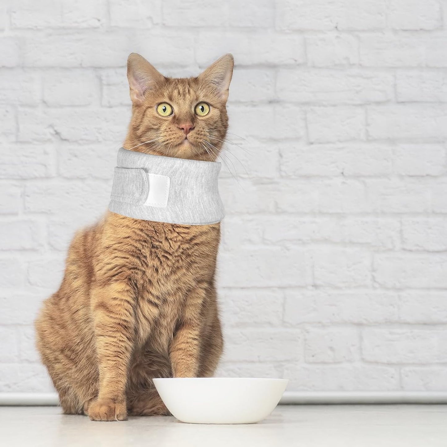 Soft Protective Collar for Cats & Small Dogs - Comfortable Adjustable (21-26 cm) - Set of 1
