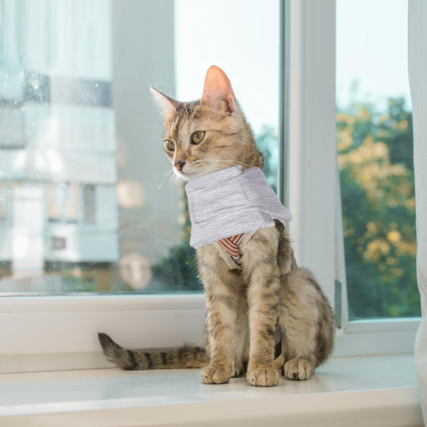 Soft Protective Collar for Cats & Small Dogs - Comfortable Adjustable (21-26 cm) - Set of 1