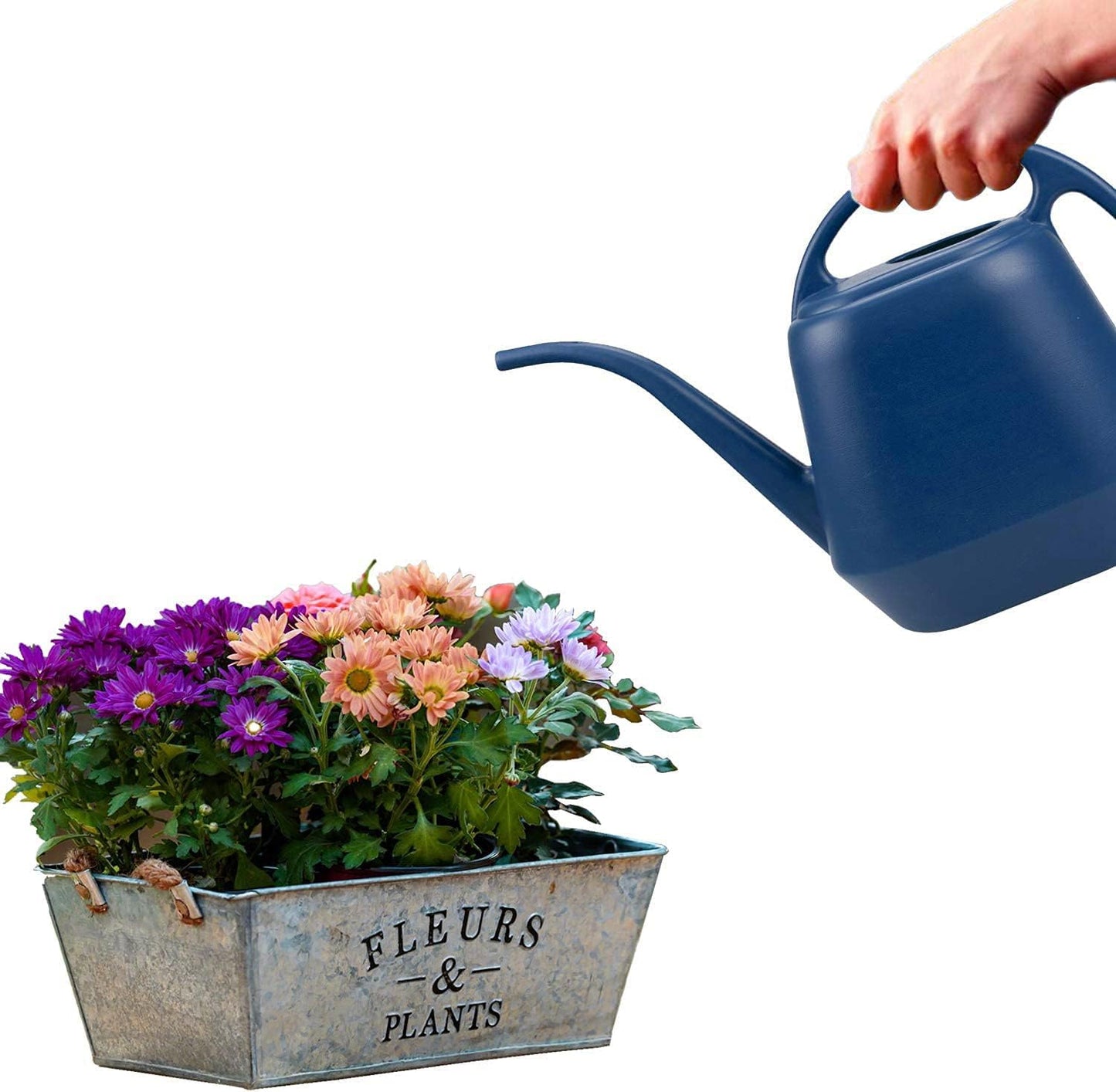 1 Gallon Blue Watering Can for Indoor Outdoor Plants