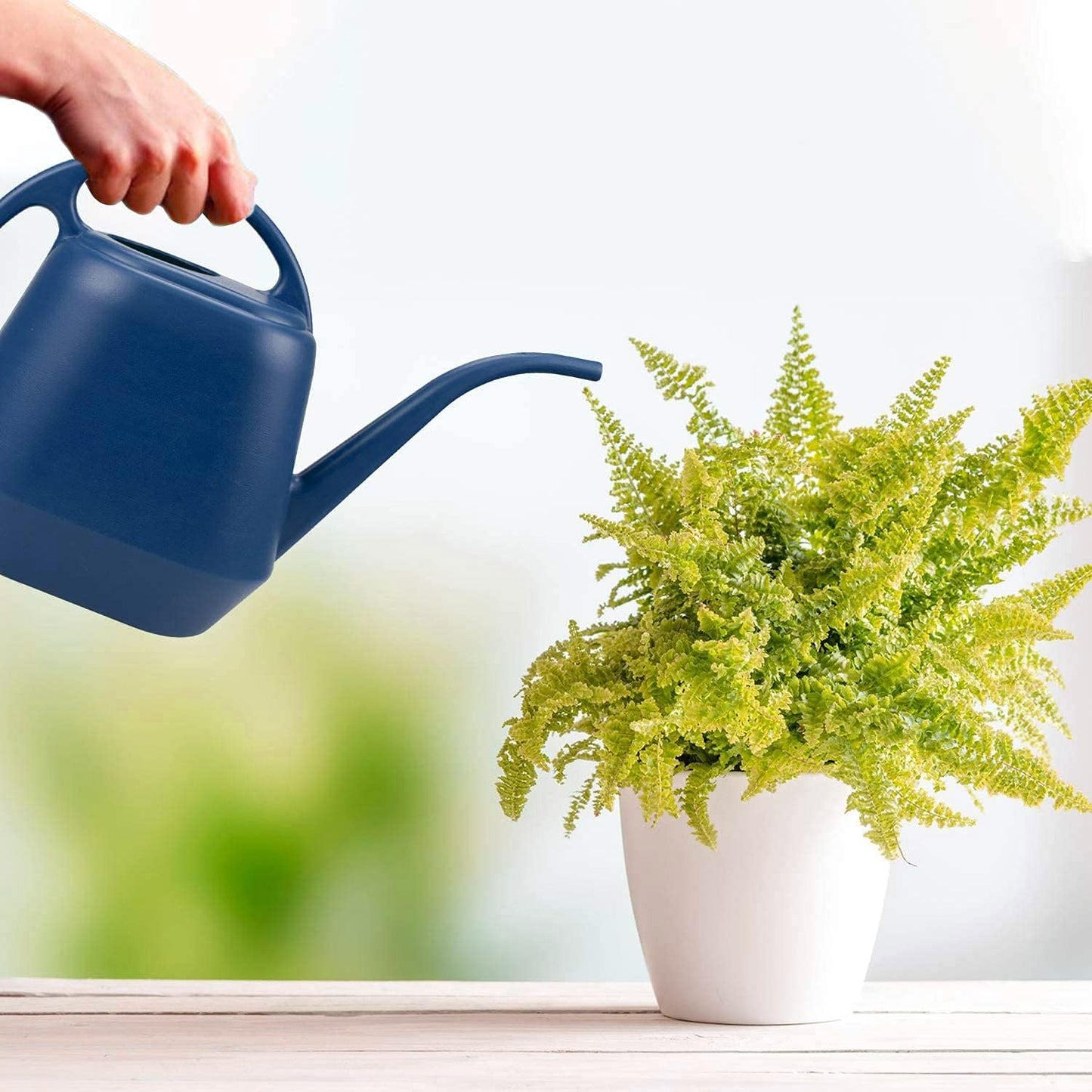 1 Gallon Blue Watering Can for Indoor Outdoor Plants