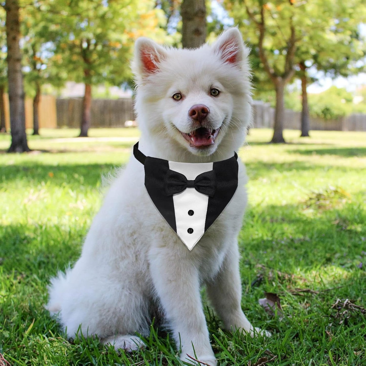 Formal Dog Smoking Set Collar Neckband Adjustable 12.5-21 Inch Black Formal Dog Dress for Wedding Engagement Birthday Fits Small Medium Large Dogs and Other Pets