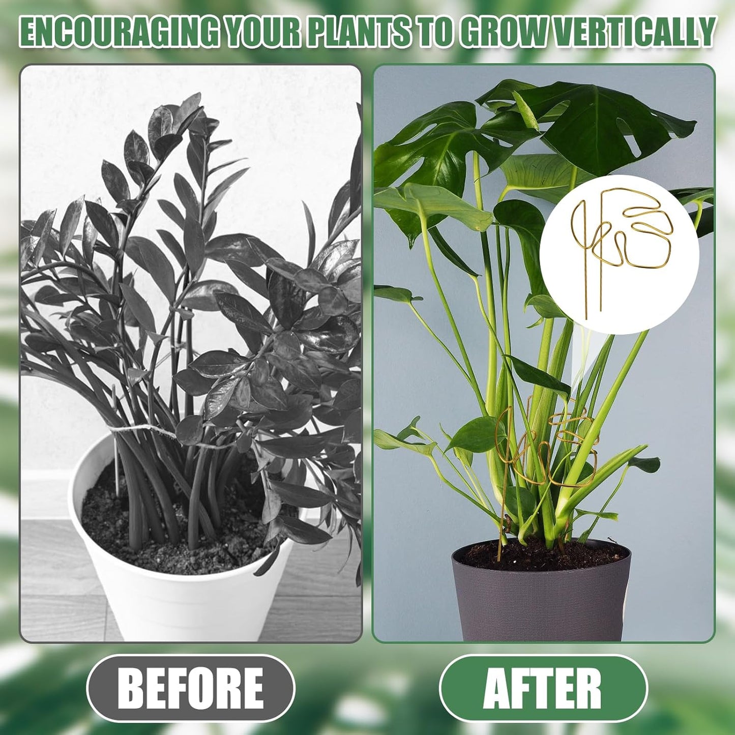2 Pack Gold Plant Supports Indoor Outdoor Plant Stakes Clips Plant Stand for Plant Support