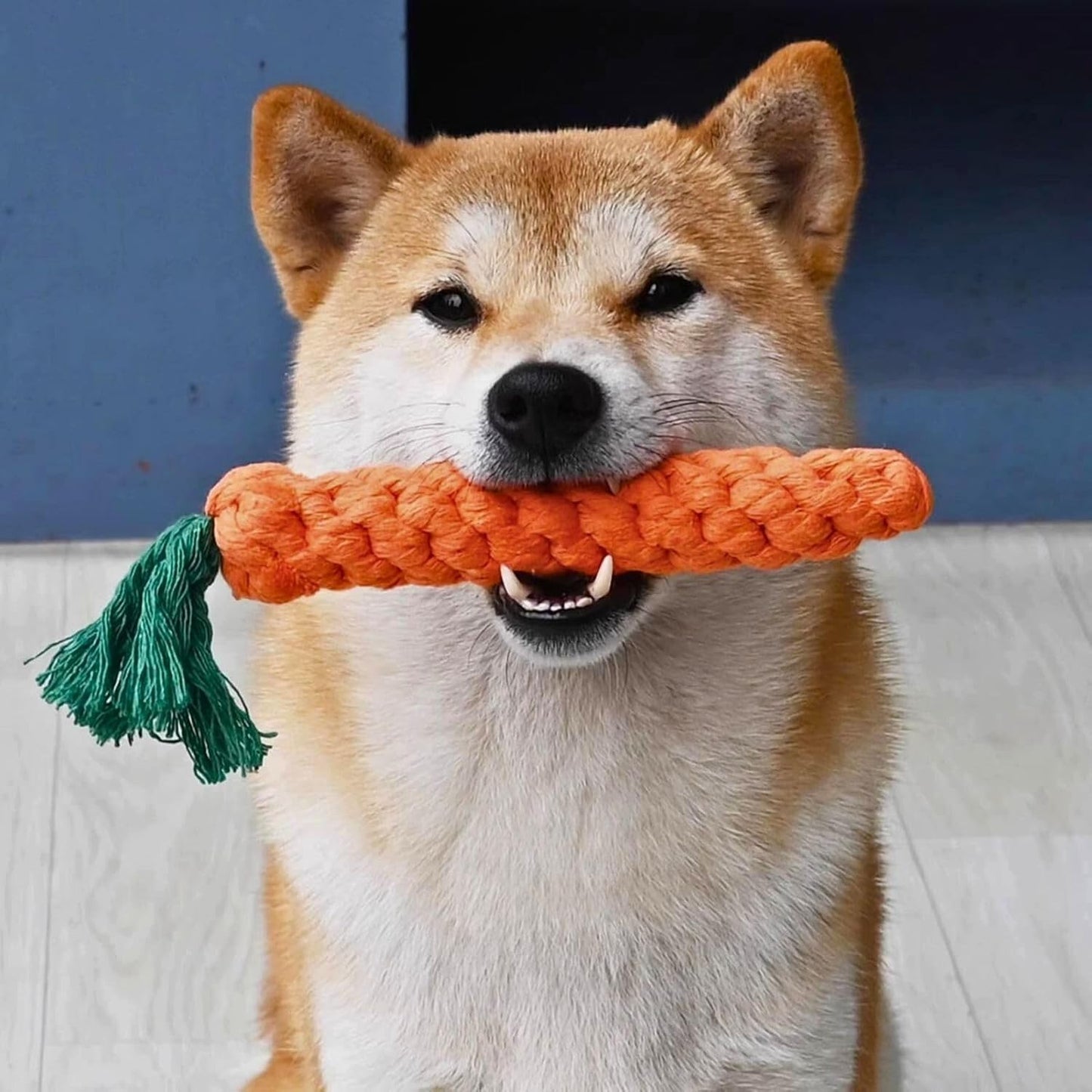 5 Pack Dog Chew Toys - 100% Cotton Material - Durable Bite-Resistant for Teeth Cleaning and Interactive Play - Ideal for Dogs of All Sizes