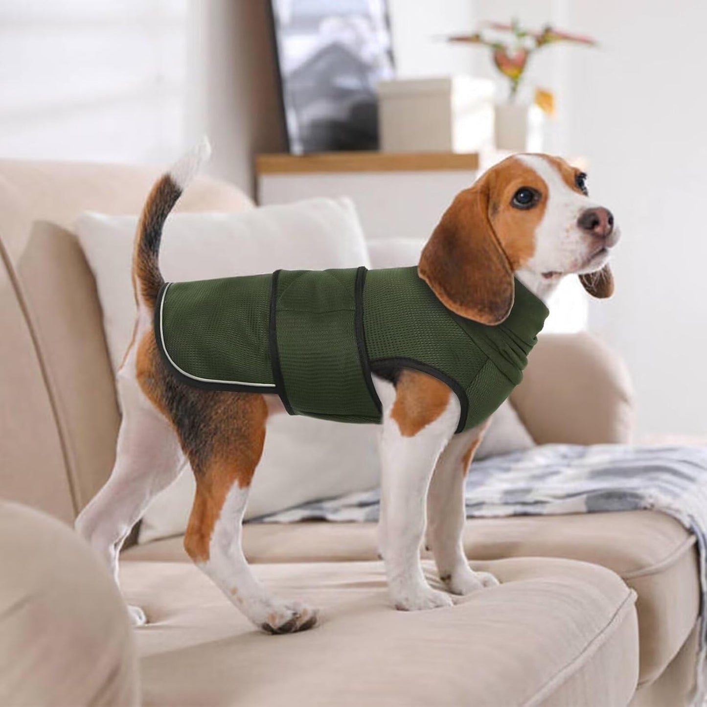 Small Military Green Dog Winter Coat - Soft Warm Adjustable Bodywarmer for Dogs