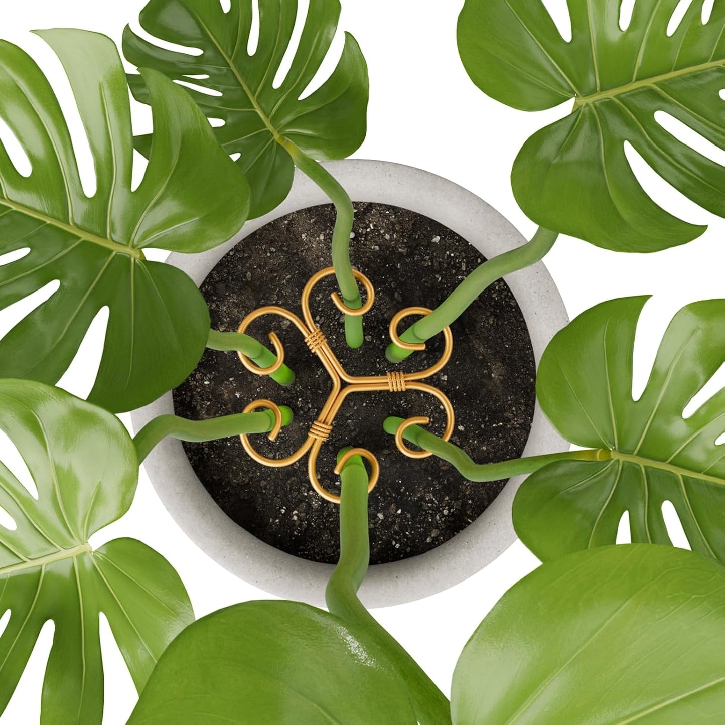 10.5cm x 10.5cm Gold Plant Stem Supports 4 Pack - Indoor Plant Stakes for Tall Plants, Monstera - Plant Anchoring Hooks for Indoor Gardens