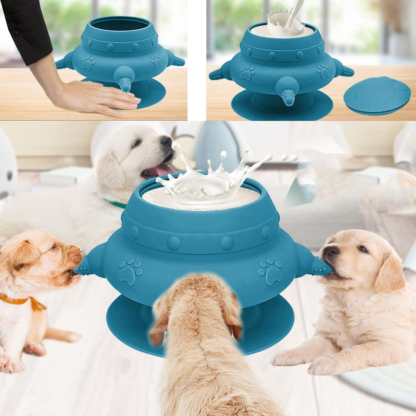 4 Teat Puppy Kitten Feeder Blue for Newborn Pets