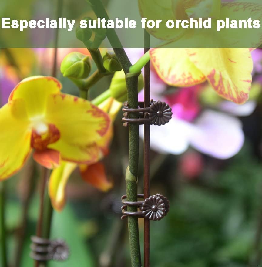 40 Reusable Plant Support Clips - Garden Tool for Supporting and Guiding Plants and Flowers