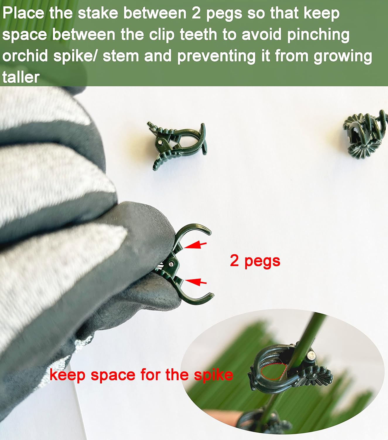 40 Reusable Plant Support Clips - Garden Tool for Supporting and Guiding Plants and Flowers