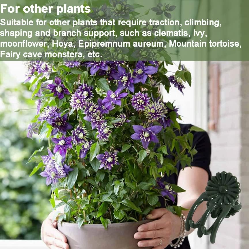 40 Reusable Plant Support Clips - Garden Tool for Supporting and Guiding Plants and Flowers