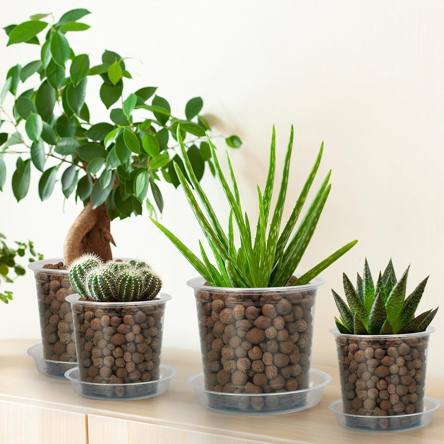 20-Pack Clear Plant Pots with Trays 4/5/6/7 Inch for Succulents Orchids Cuttings