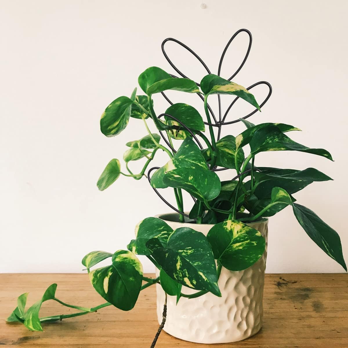 Plant Support Metal Leaf Shaped Plant Climbing Trellis 32x13 cm 2 Pack for Potted Plants