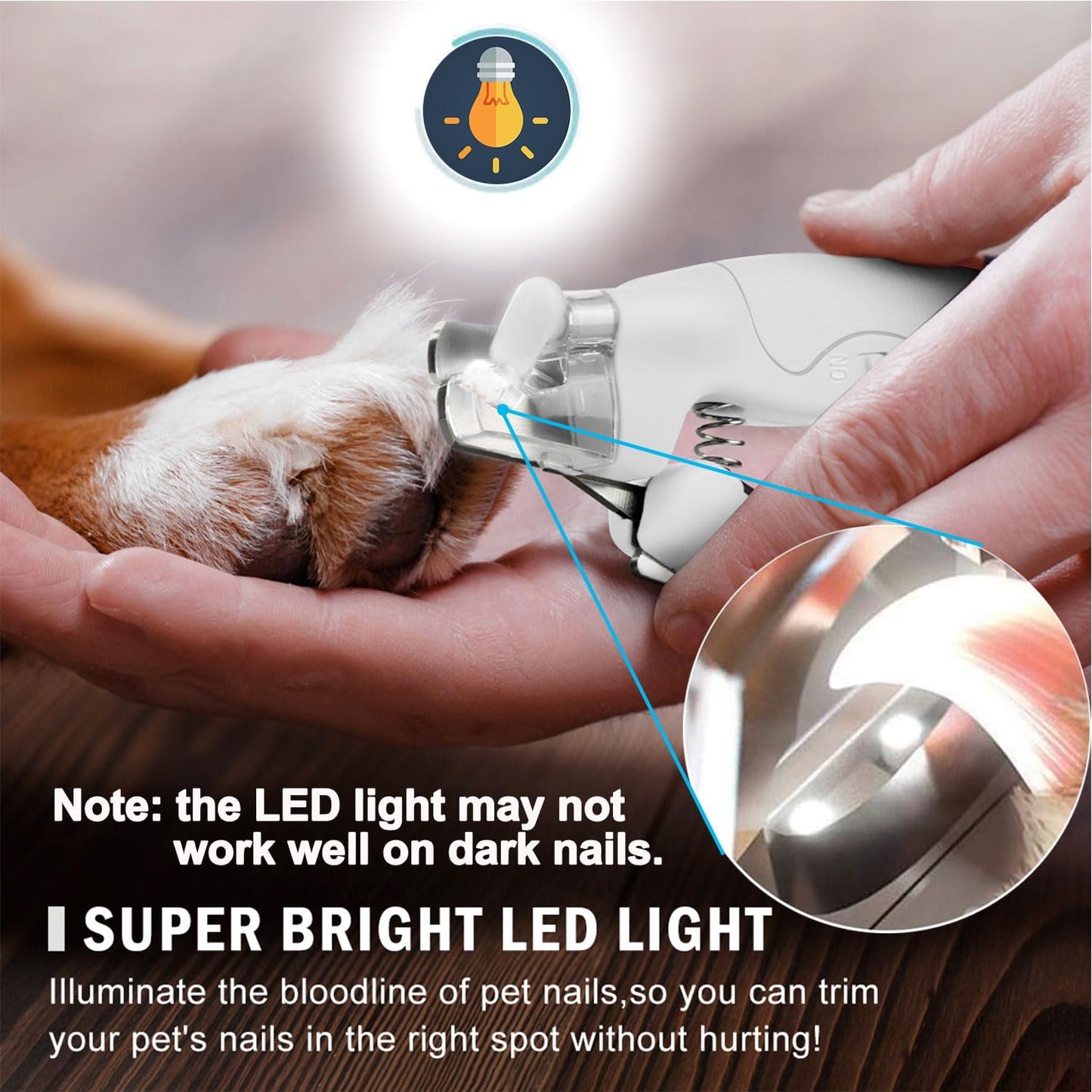 Pet Nail Clipper with LED Light for Dogs & Cats, Rechargeable Nails & Claws Trimmer, Professional Grooming Tool with Nail Trapper & Free Nail File, Quick-Sensor Razor Sharp Blades, White