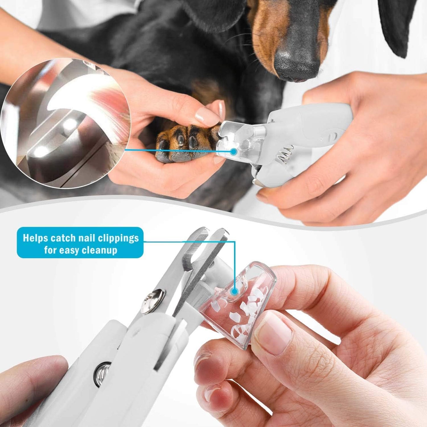 Pet Nail Clipper with LED Light for Dogs & Cats, Rechargeable Nails & Claws Trimmer, Professional Grooming Tool with Nail Trapper & Free Nail File, Quick-Sensor Razor Sharp Blades, White