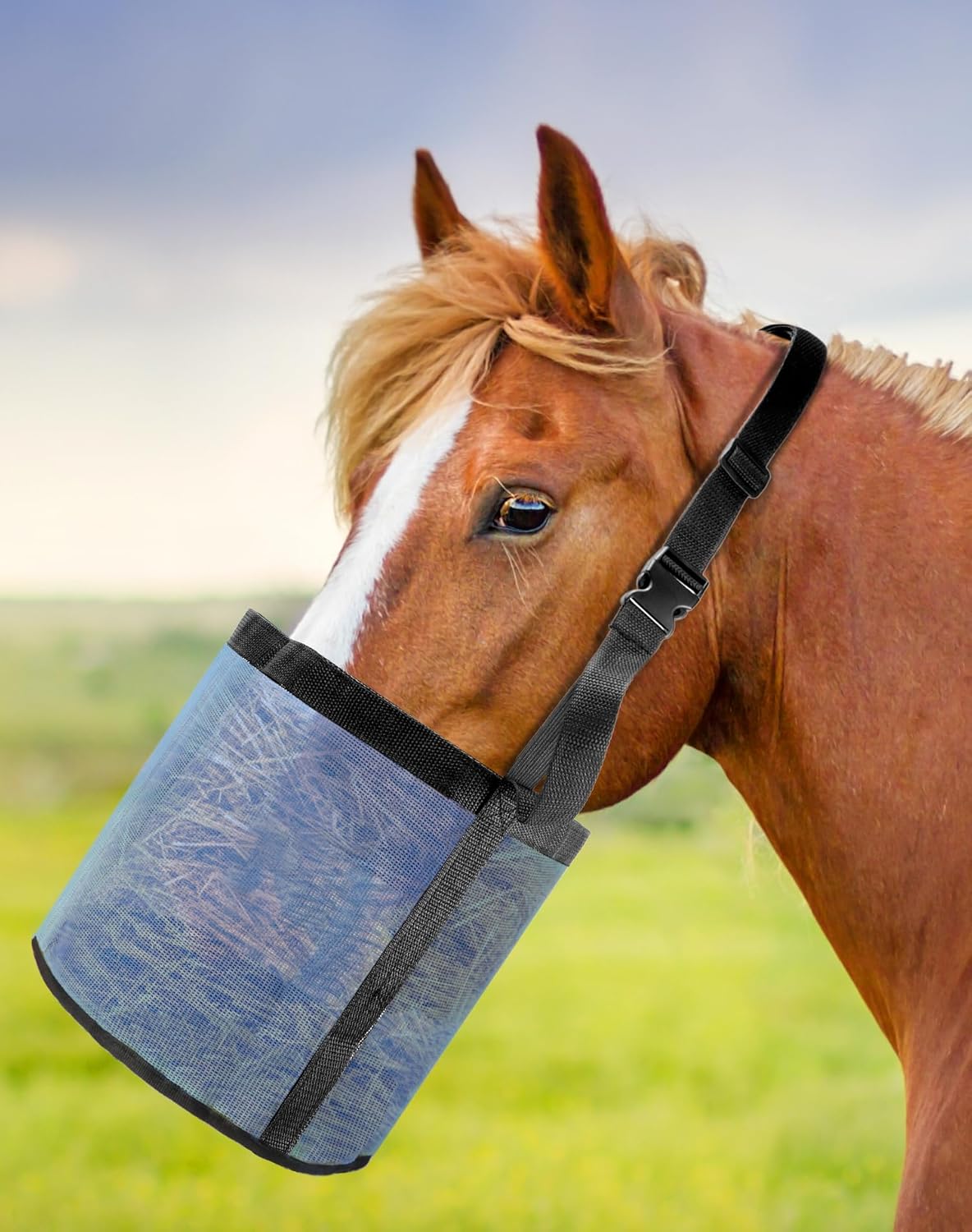 2 Pack Horse Feed Bag for Grain - Durable Mesh Grain Feeder with Adjustable Strap, Comfortable Neck and Nose Pad Horse Muzzle Feed Bag, for Feeding Grain, Powder, Supplements, Blue