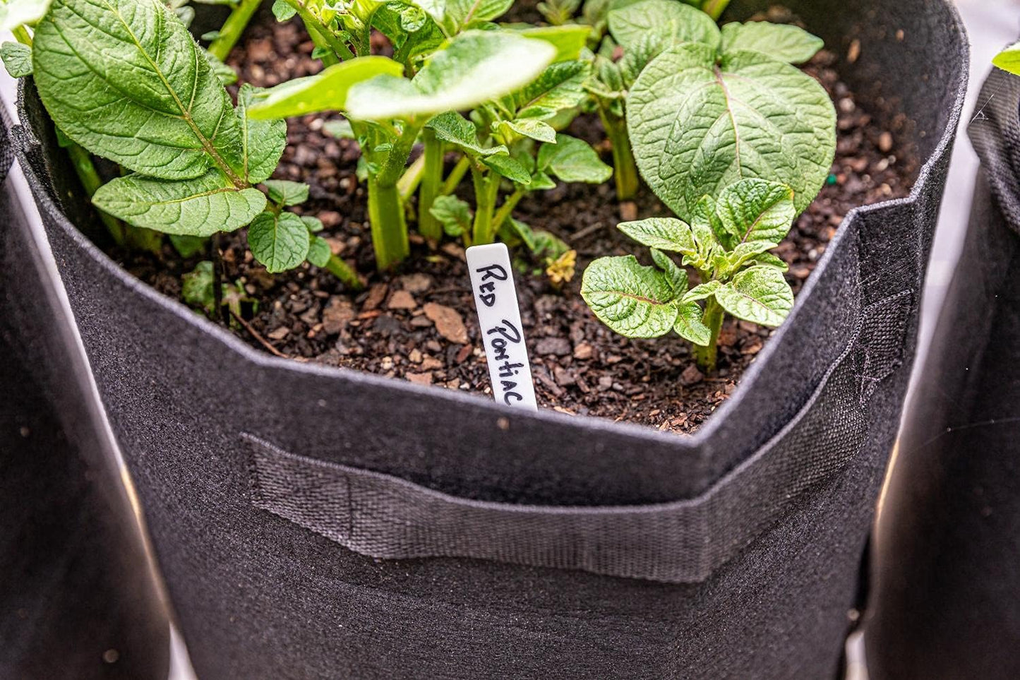 6 Pack BPA-Free 10 Gallon Vegetable Grow Bags with Access Flap and Handles, Suitable for Planting Potato, Taro, Beets, Carrots, Onions, Peanut