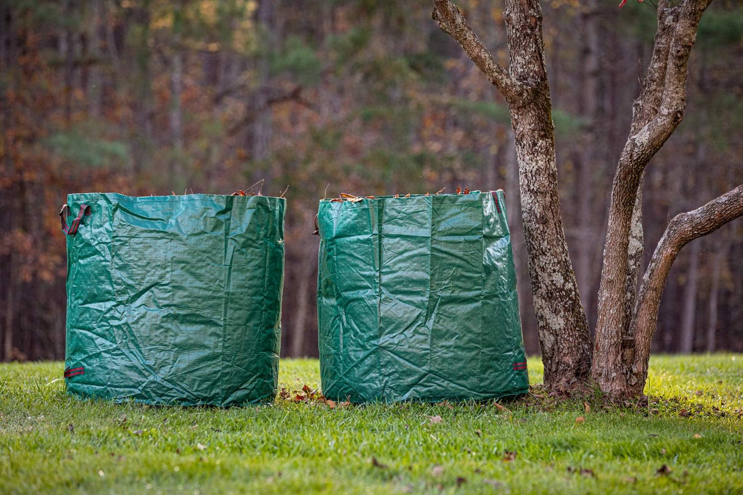 2-Pack 132 Gallon Yard Waste Bags, Reusable Heavy Duty Collapsible Garden Leaf Bags with Plastic Ring, Stand-Up Yard Waste Bin for Leaves, Lawn Debris & Grass Clippings