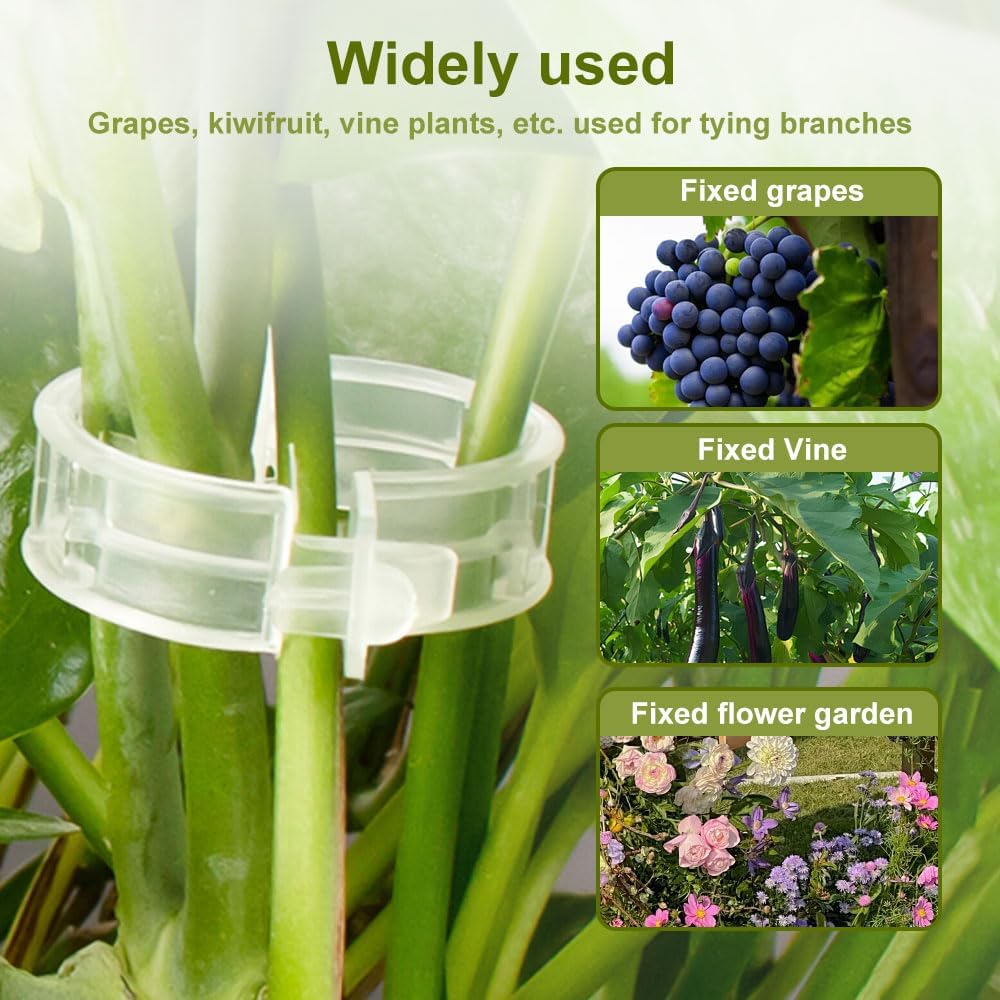 2024 Upgraded Secured Plastic Plant Clip, Summer Plant Support Clips Garden Climbing Vines Fixing Clip, Plant Support Clips Reusable Garden Clips 50Pcs Trellis Clips Tomato Clips (50, Green)