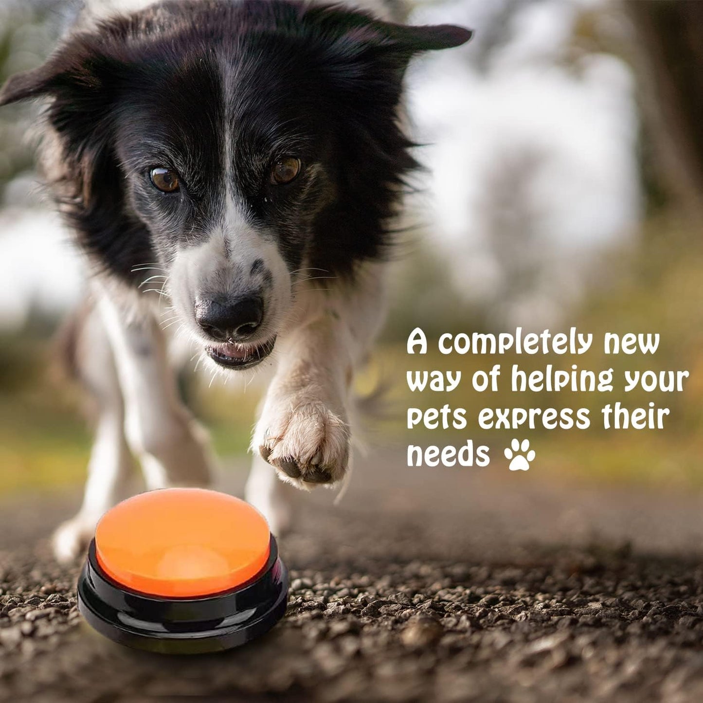 Voice Recording Button for Communication Pet Training Buzzer,30 Second Record&Playback Dog Toy,Voice Recording Clicker for Cat,Puppy,Pet Trainin,Funny Gift for Study Office Home 8Pcs