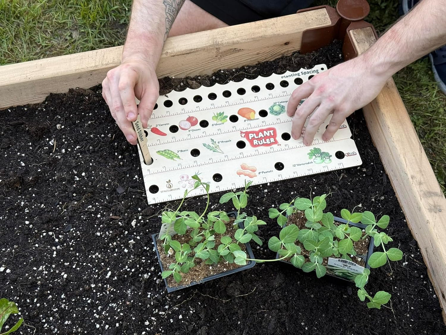 Plant Ruler by  – Wooden Seed Spacing Tool for Vegetable Gardens – Garden Planting Guide for Precise Row Planting in Raised Beds & In-Ground Soil