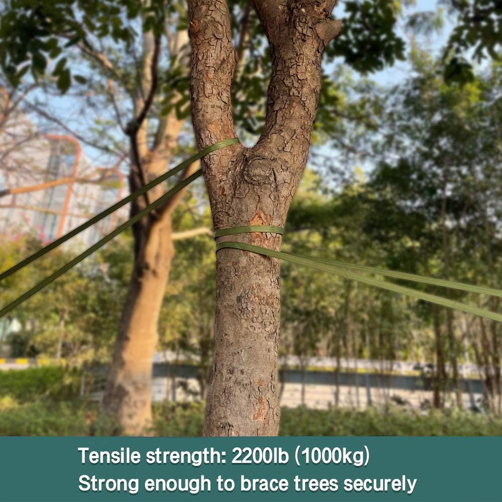 Tree Support Strap, 65 Feet x 1 inch Tree Straps for Staking, Nylon Plant Tie Rope for Support, Straightening (2200 Lbs Strength, Green)