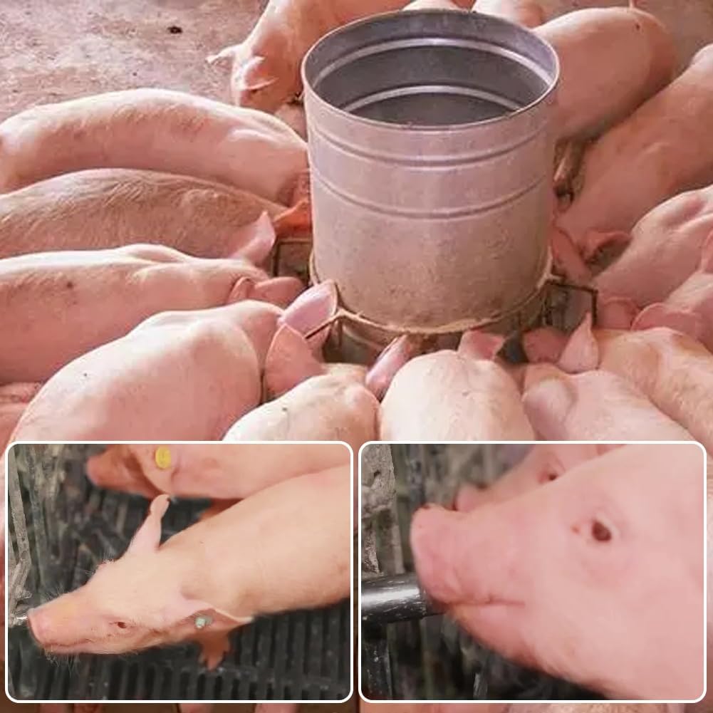 5PCS 1/2 Stainless Steel Automatic Pig Nipple Water Drinker Feeder Waterer + 5PCS 1/2 Female to 3/4 Male Brass Water Tank Connector Bulkhead Fitting Kit for Sows Piglets Drinking
