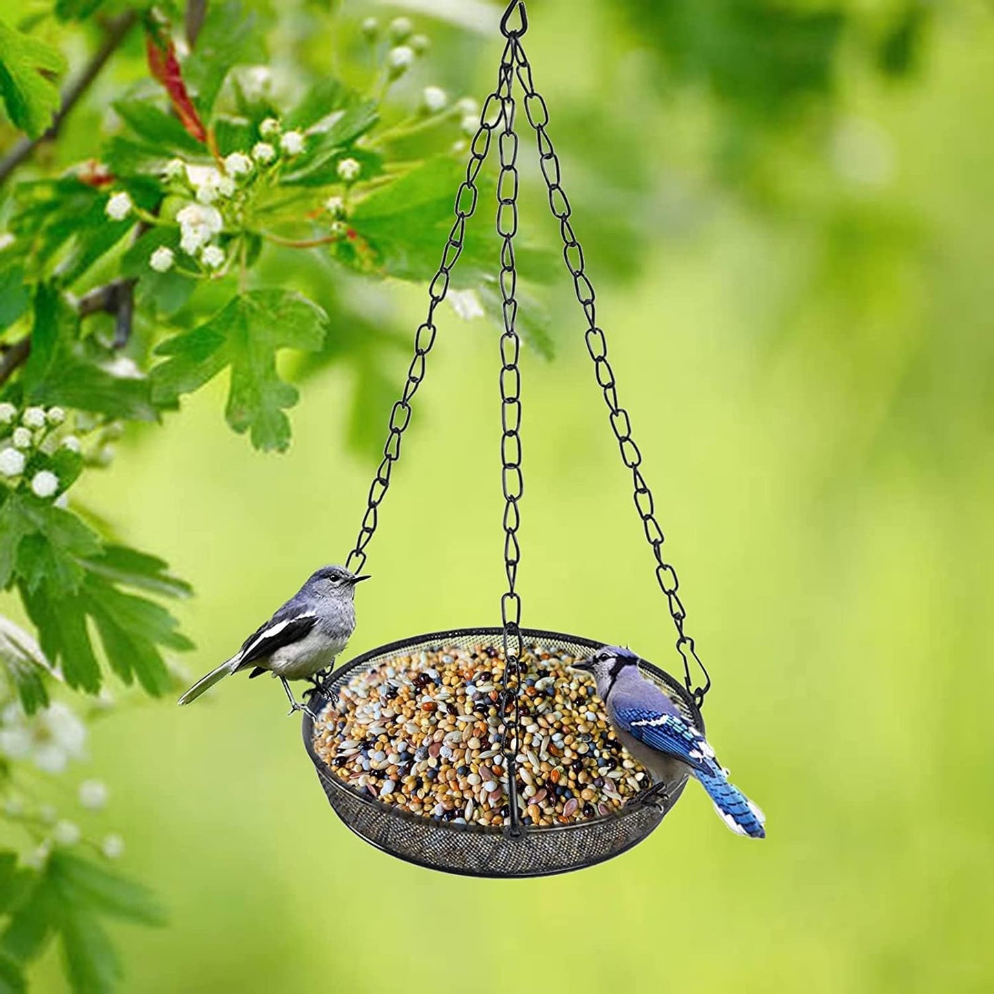 Hanging Bird Feeder, Suet Feeder Hanging Bird Feeder Hanging for Garden Yard Outside Hanging Bird Feeder Tray
