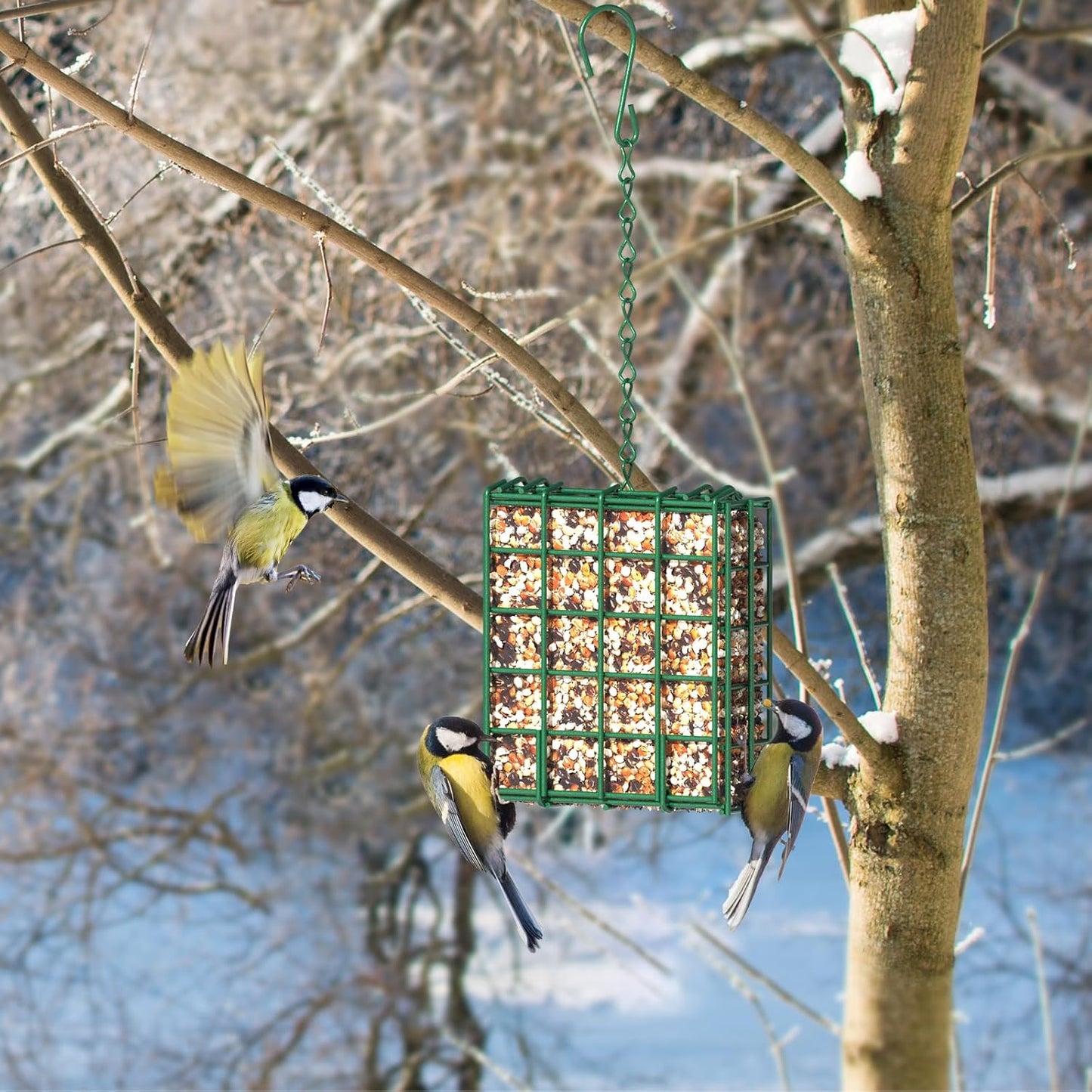 Hanging Bird Feeder, Suet Feeder Hanging Bird Feeder Hanging for Garden Yard Outside Hanging Bird Feeder Tray
