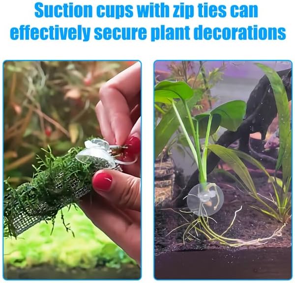 20 Pack Suction Cups with 40 Zip Ties for Aquarium Fish Tank Decoration Moss Shrimp Nest