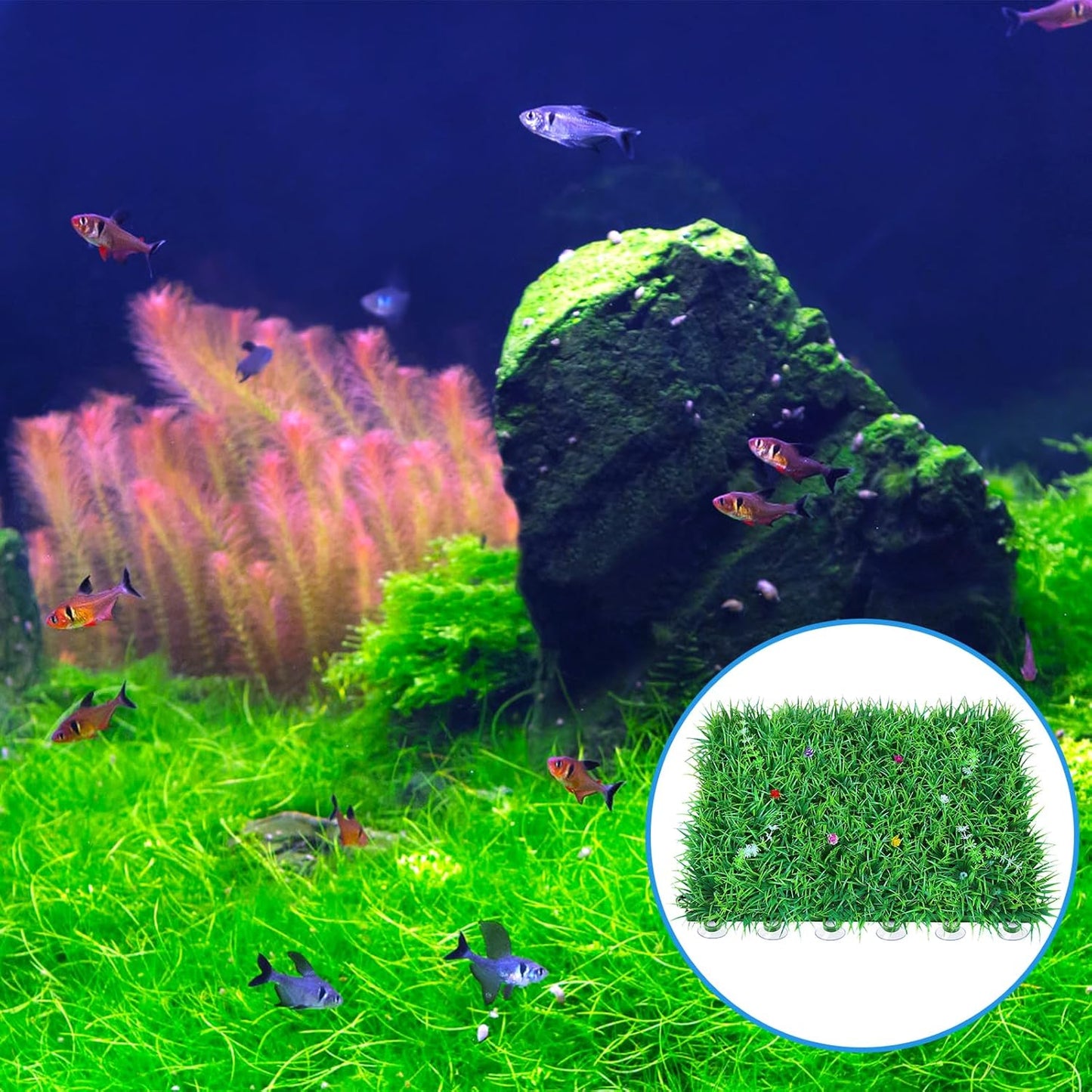 20 Pack Aquarium Suction Cups with Clips 3/16" air Hose and Adjtable Zip Ties for Aquarium Fish Tank Decoration Moss Shrimp Nest