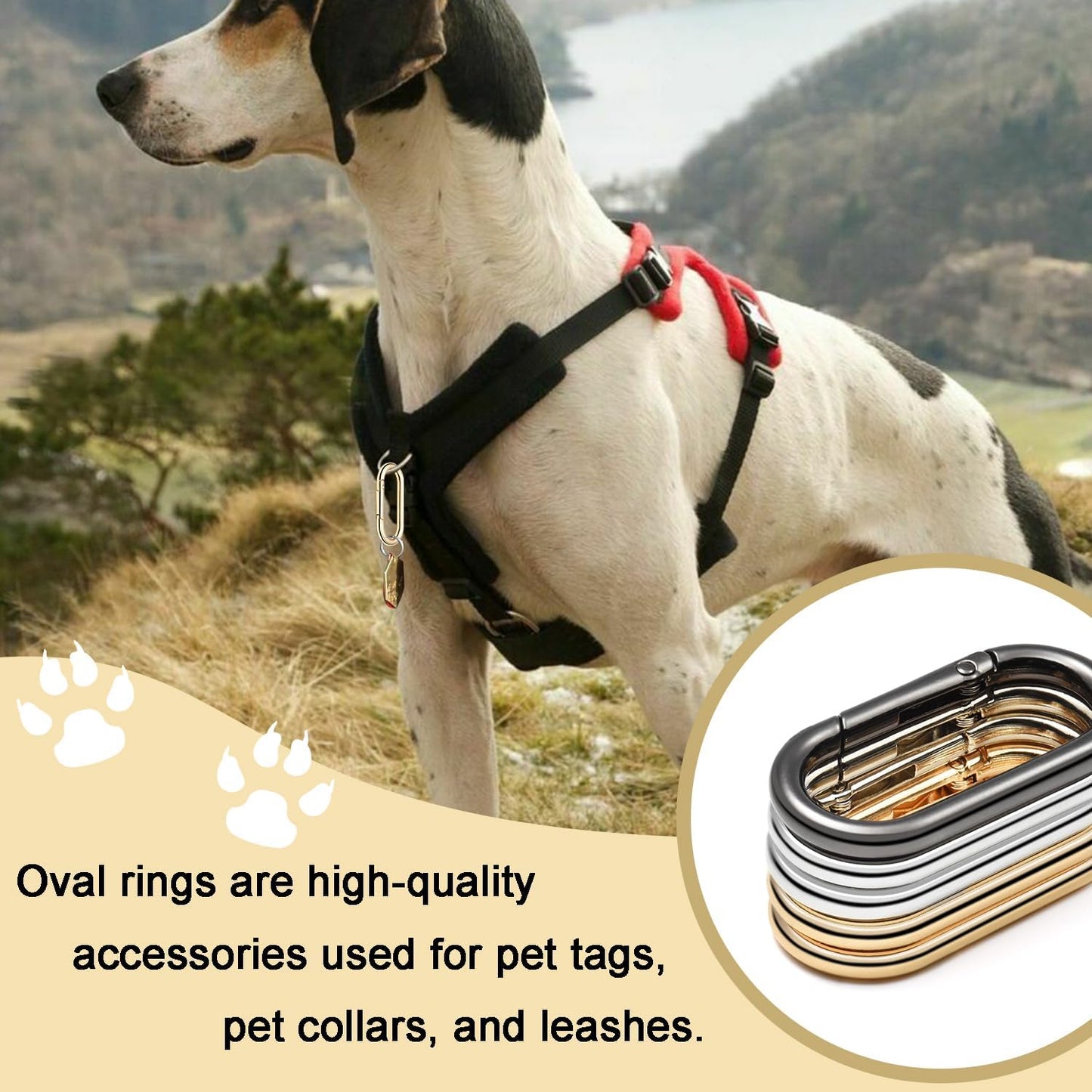 4pcs 2" Oval Spring Keyrings, Large Keychain Carabiner Clips, Spring O Rings Buckles for Purse Clip, Bag Strap Clasp, Backpack Charms, Dog Tag, Car Keyring Accessories (Light Gold)
