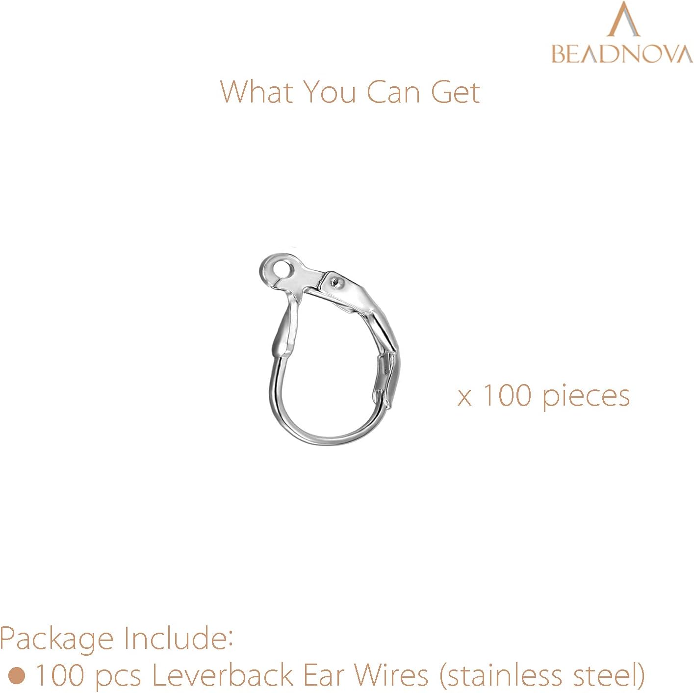 Stainless Steel Leverback Earring Hooks 100pcs French Ear Wire Lever Back Earwire for Jewelry Making Crafting