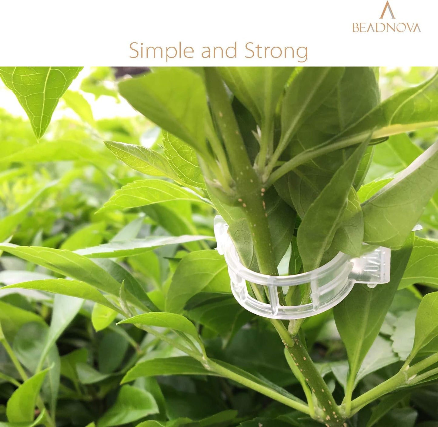 150Pcs Tomato Clips Plant Clips Garden Clips Vine Clips Tomato Trellis Clips for Tomato Vine Vegetable (150PCS)