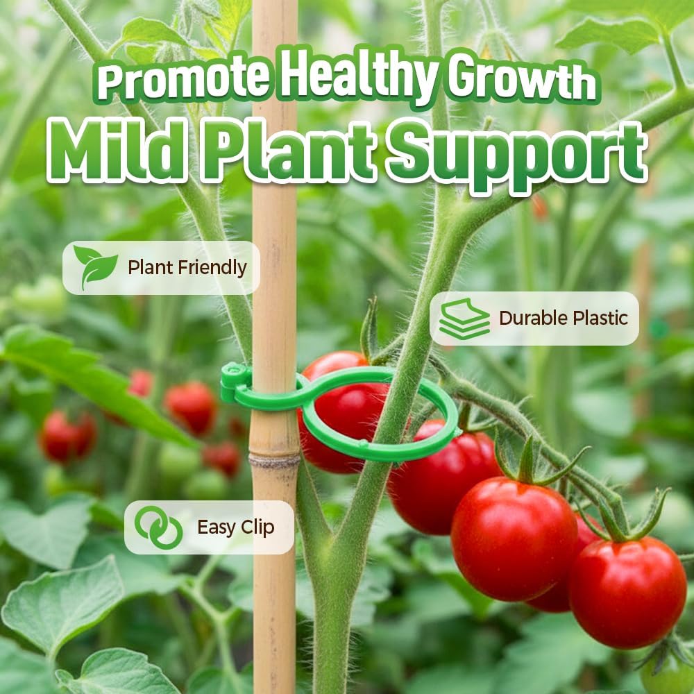 Plant Support Clips for Climbing Plants, Reable Garden Plant Support Plastic Clips for Tomatoes, Vines & Climbing Plants, Plant Fixing Clips for Vegetables, Fruits & Flowers (100, Green Large)