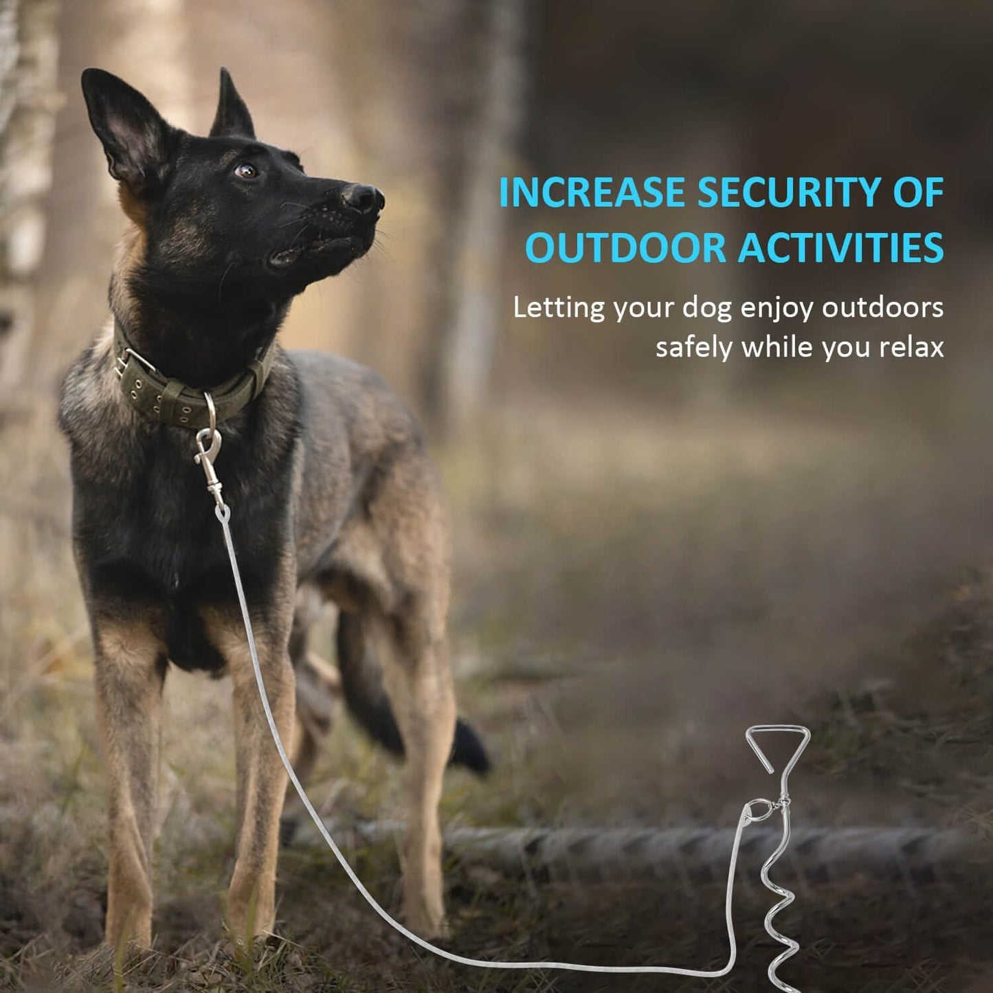 Dog Tie-Out Stake and 2-in-1 Shedding Grooming Tool