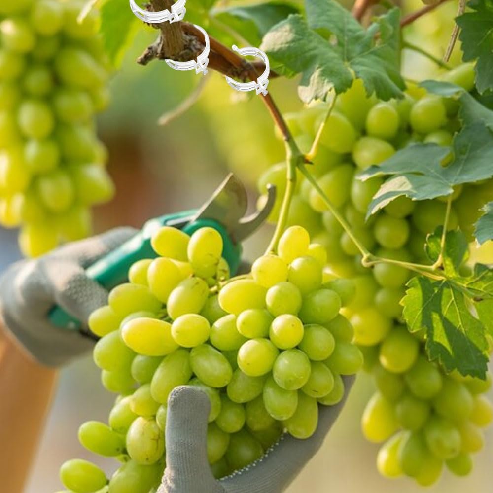 Secured Plastic Plant Clip, 2024 New Plant Support Clips for Climbing Plants, Portable Garden Plant Support Clips Plastic Tomato Grape Vine Vegetables Plant Clips (100, White)