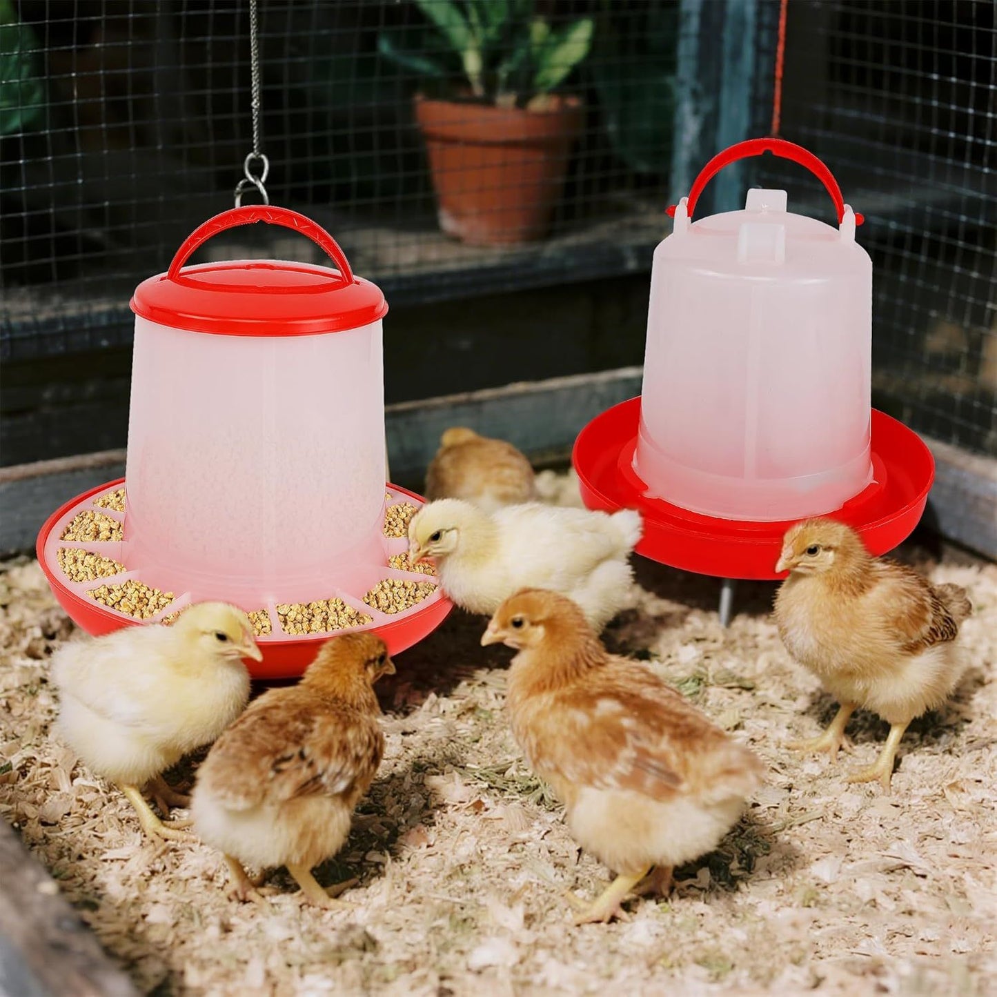 Chick Feeder and Waterer Set – 1 LB + 1 L Hanging Plastic Containers for Outdoor Baby Chicks Small Poultry Drinkers Feeders