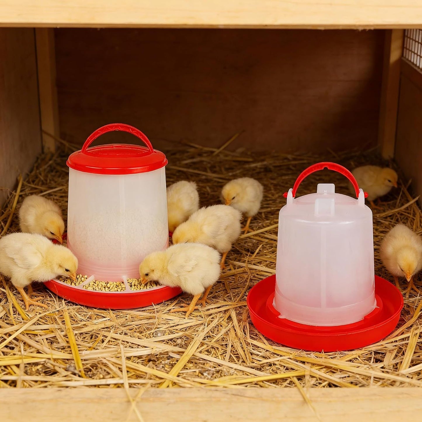 Chick Feeder and Waterer Set – 1 LB + 1 L Hanging Plastic Containers for Outdoor Baby Chicks Small Poultry Drinkers Feeders